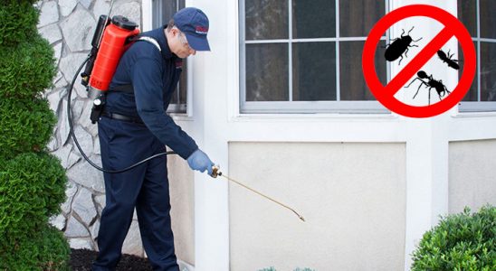Yakakent Gümüşkurt İlaçlama böcek ilaçlama ve haşere kontrolü — ilaclama-tr.com